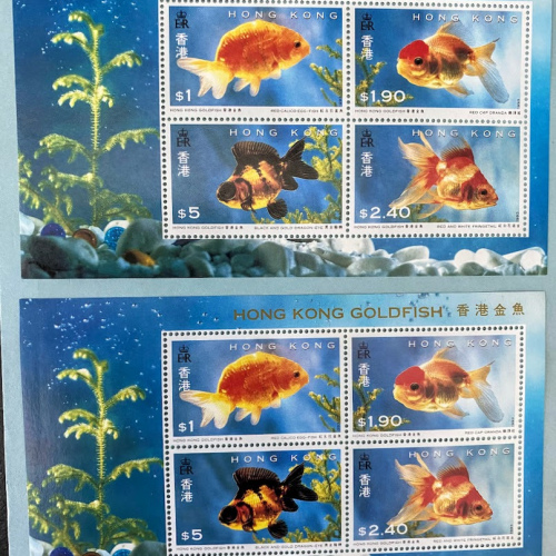 HK A135 Gold Fishes 13 Souvenir Sheets MNH 13金魚小型张 